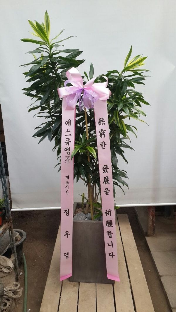 10��31��(�ݿ���)