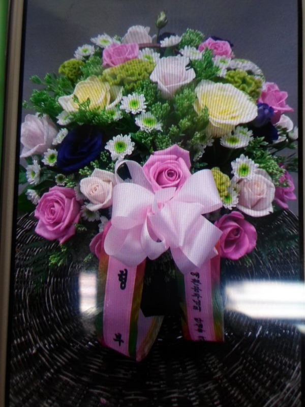 10��31��(�ݿ���)