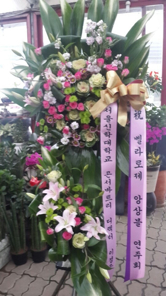 10��31��(�ݿ���)