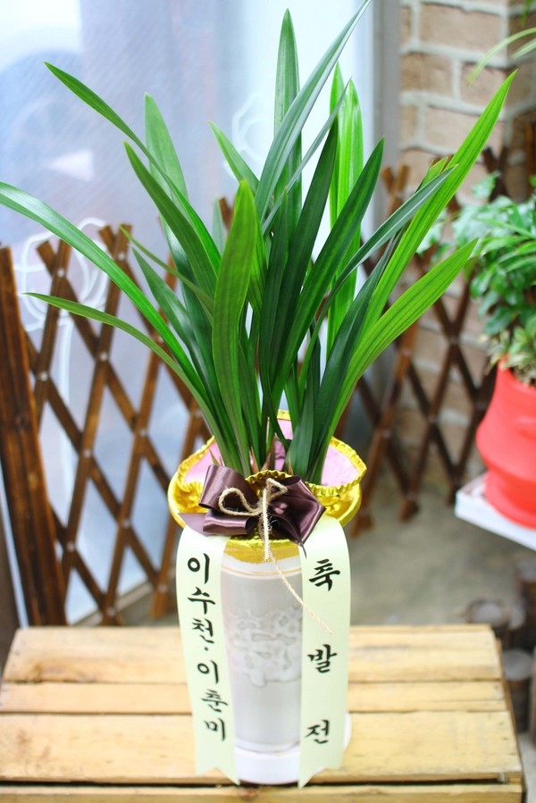 10��31��(�ݿ���)