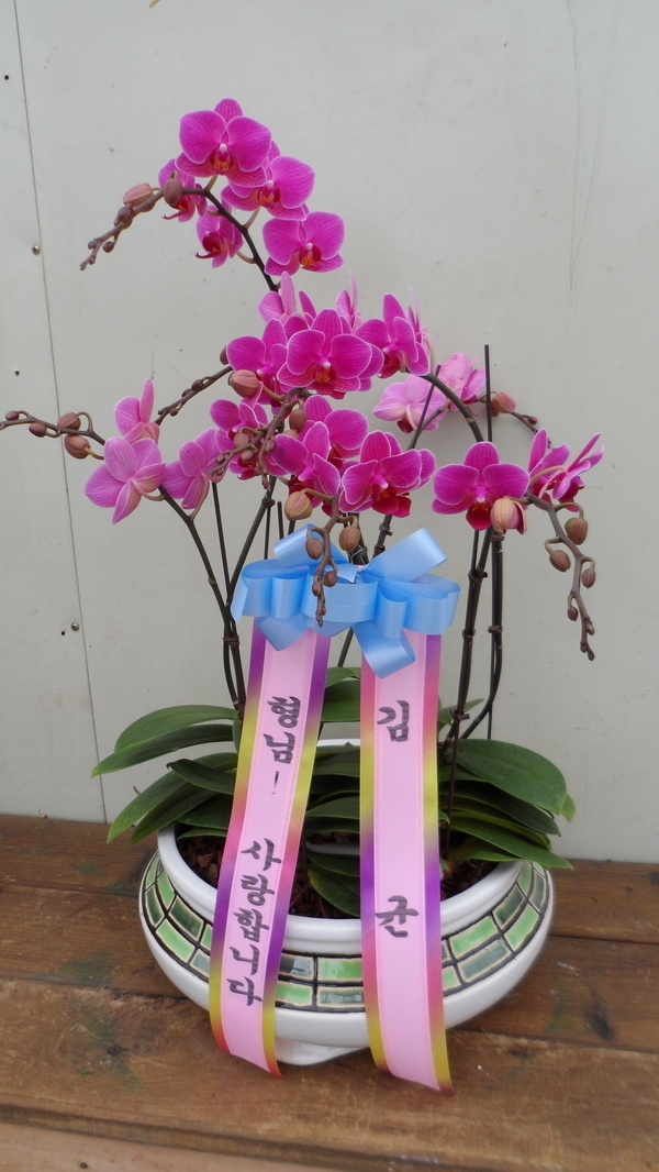 11��15��(�����)