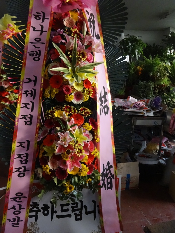 11��15��(�����)