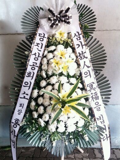 11��22��(�����)