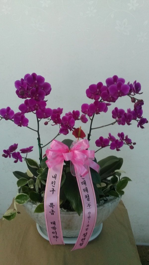 11��22��(�����)