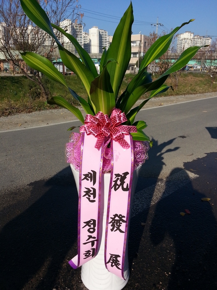 11��22��(�����)