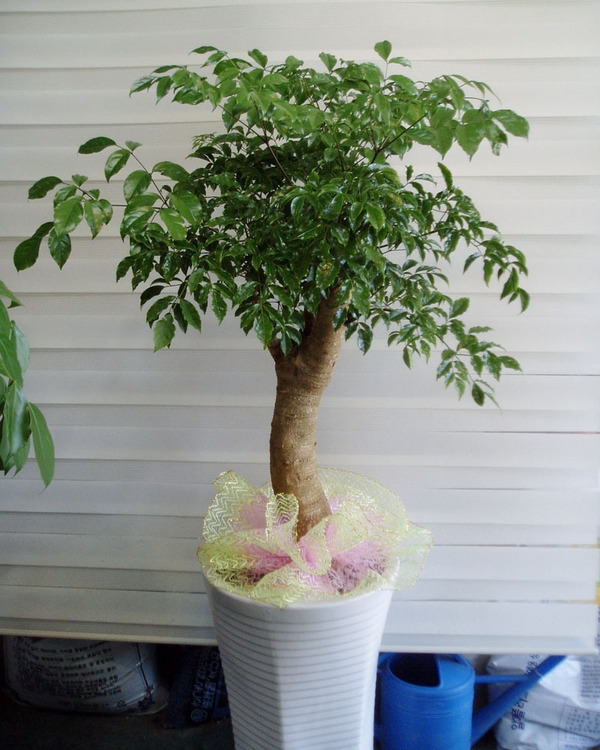 11��22��(�����)