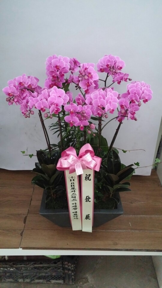 11��22��(�����)