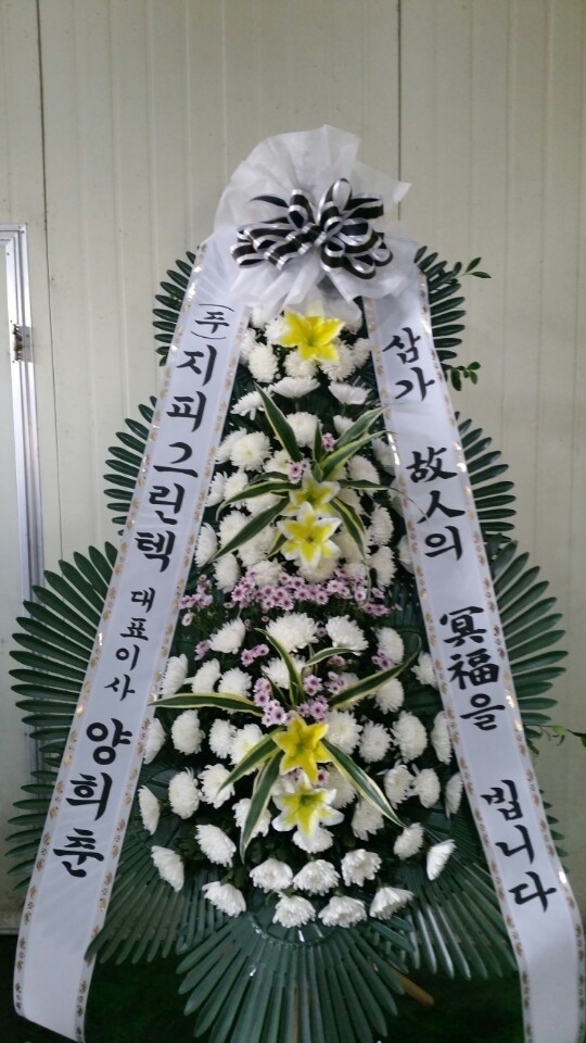 11��22��(�����)