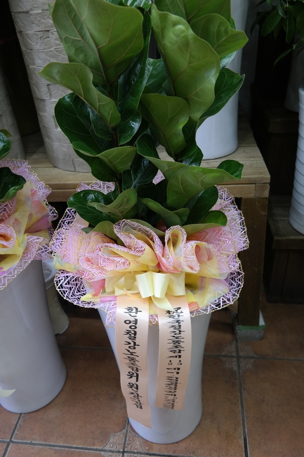 11��22��(�����)