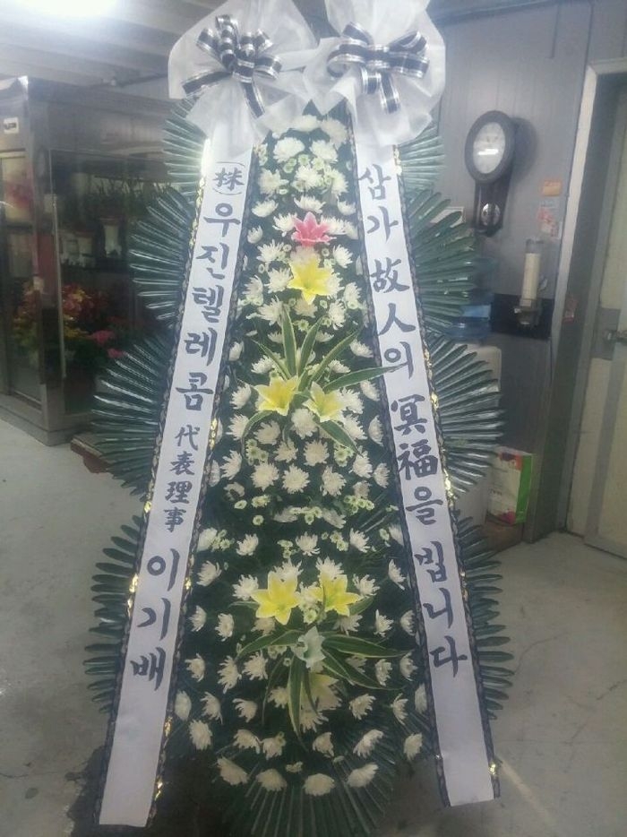 11��22��(�����)