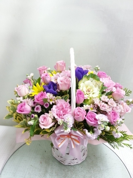 11��22��(�����)