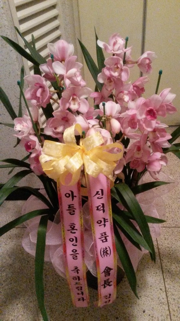 12��12��(�ݿ���)