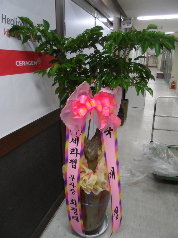 12��12��(�ݿ���)