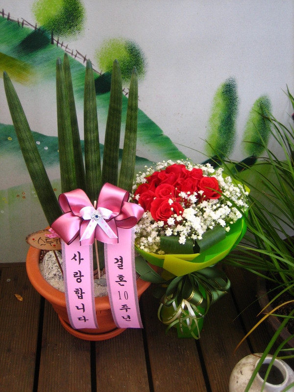 12��12��(�ݿ���)