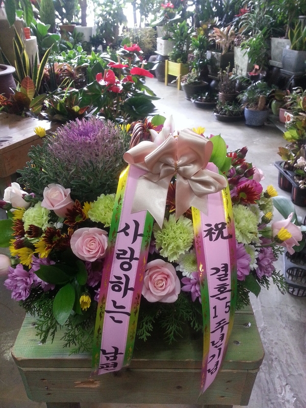 12��12��(�ݿ���)