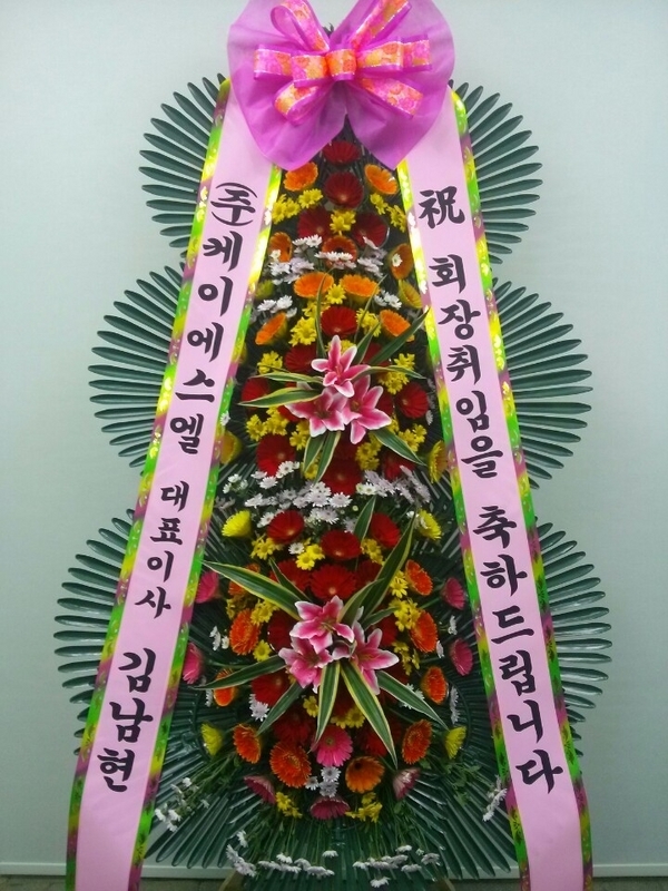 12��12��(�ݿ���)