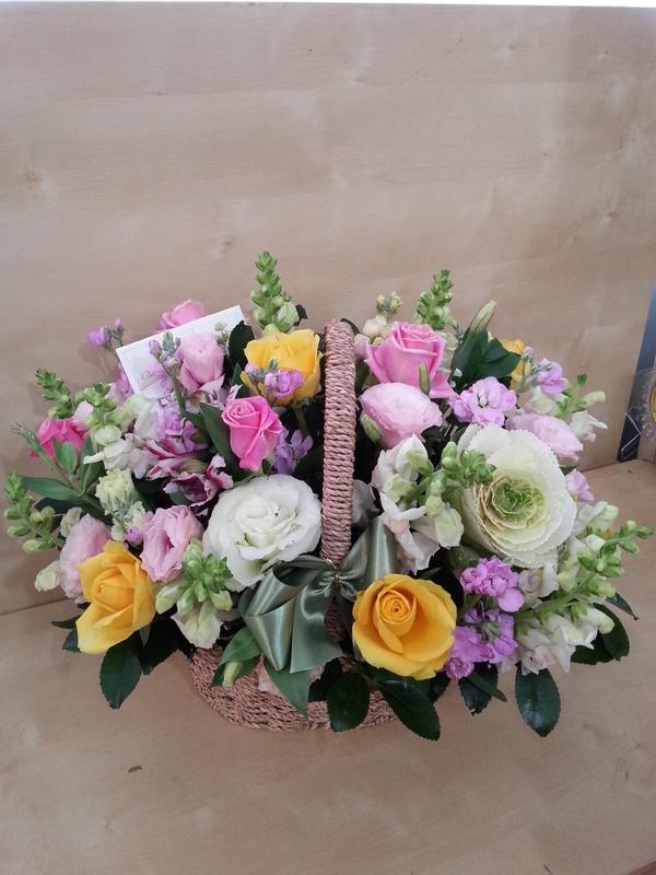 12��12��(�ݿ���)