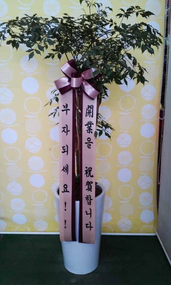 12��12��(�ݿ���)