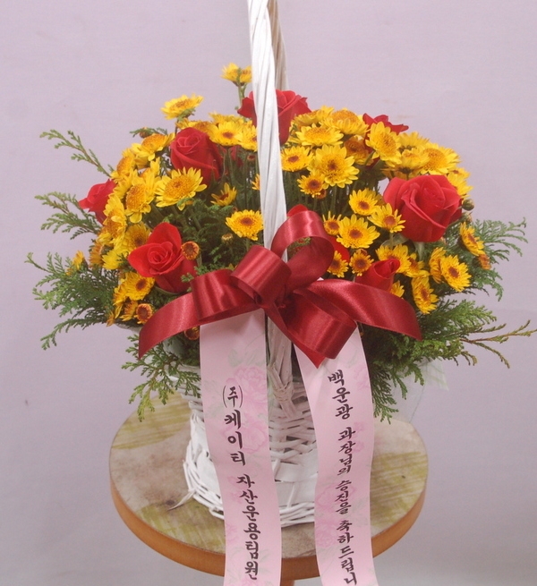 12��12��(�ݿ���)