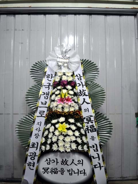 12��12��(�ݿ���)