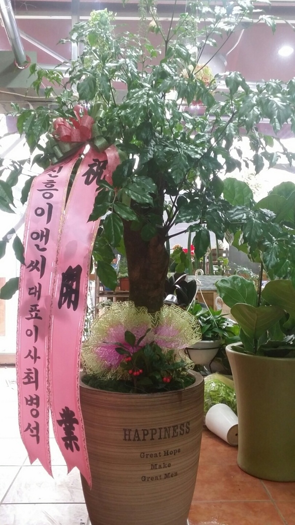 12��12��(�ݿ���)