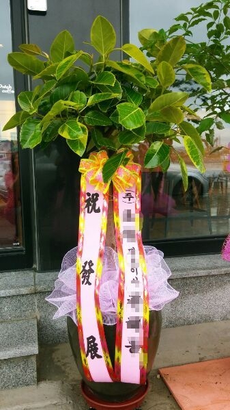 12��22��(������)