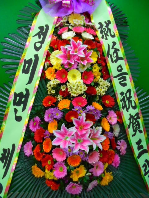 12��22��(������)