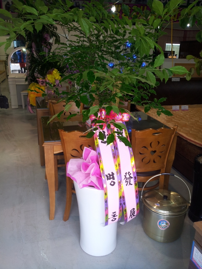 12��22��(������)