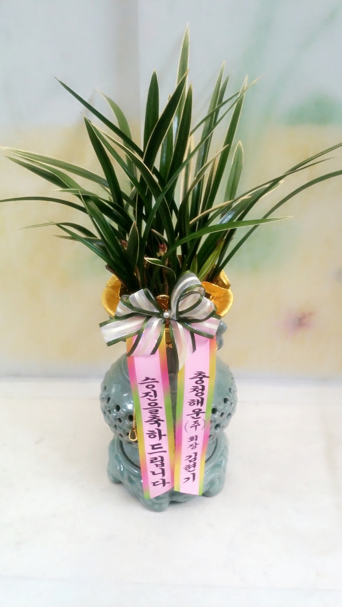 12��22��(������)