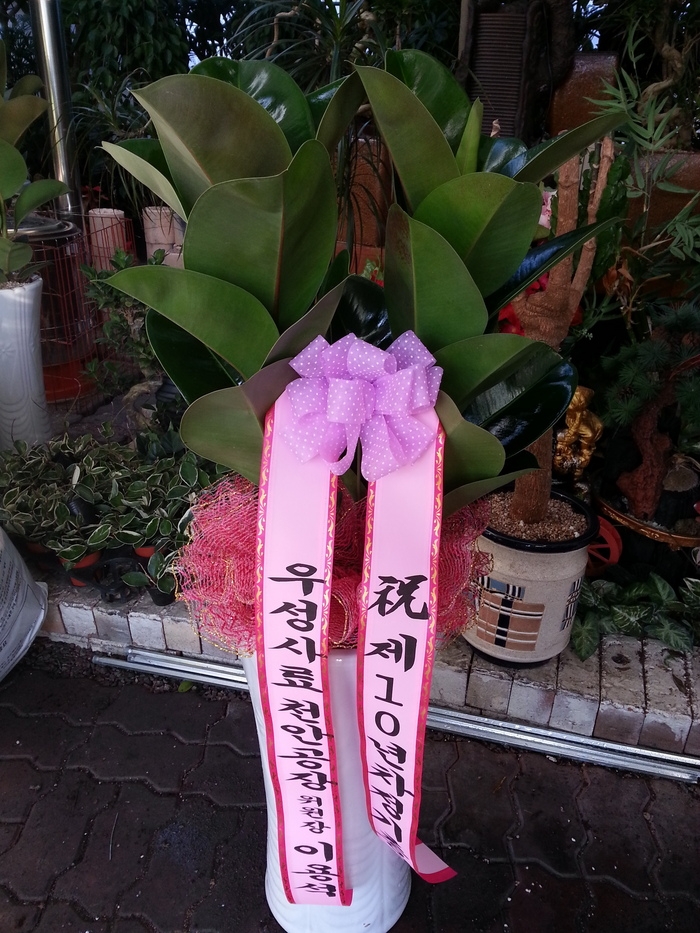 12��22��(������)