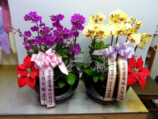 12��22��(������)