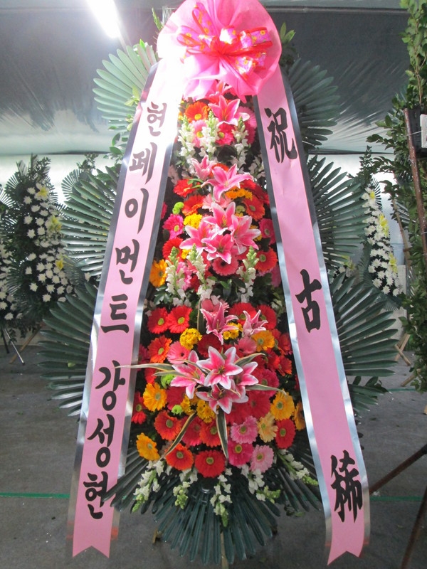 2015��1��3��(�����)