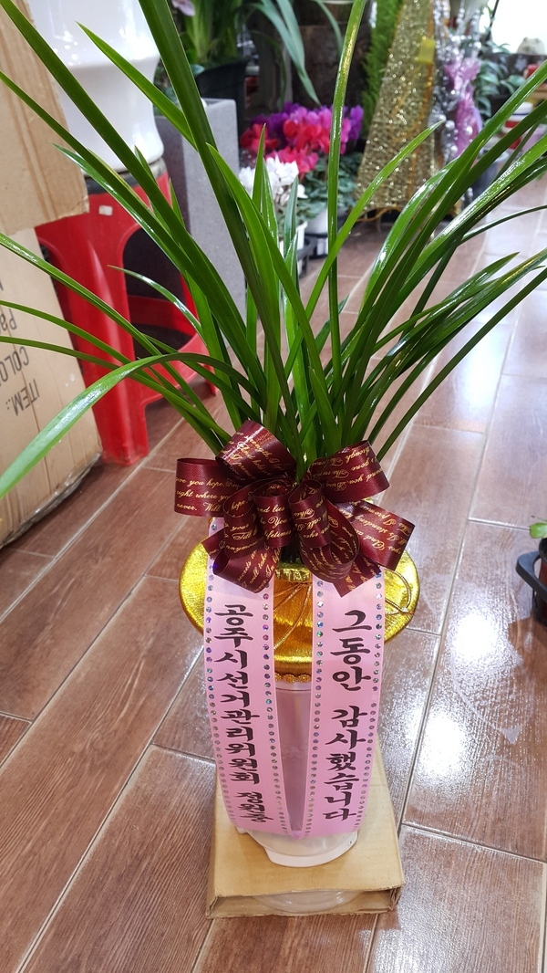 2015��1��3��(�����)