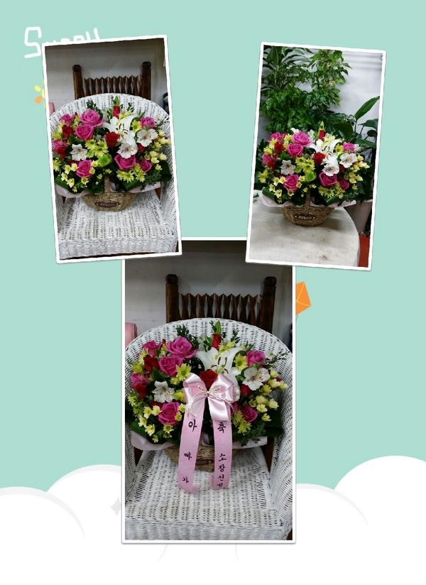 2015��1��3��(�����)