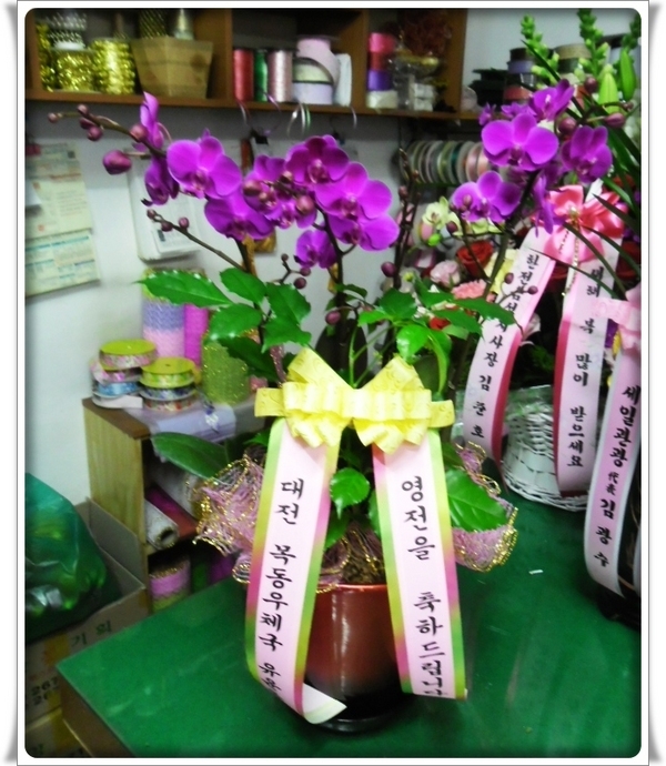 2015��1��3��(�����)