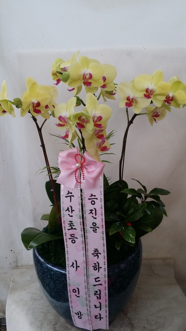 2015��1��3��(�����)