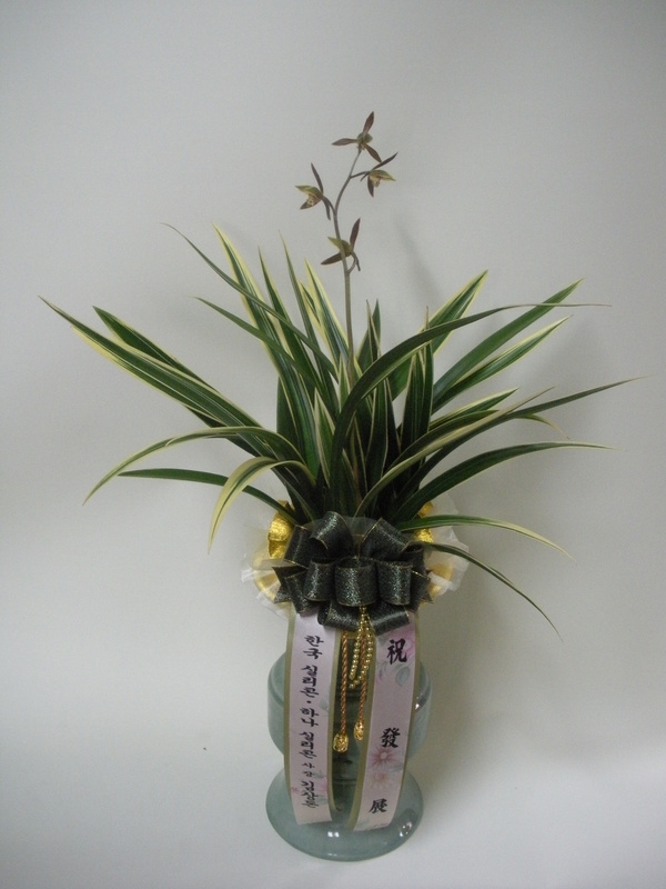 2015��1��3��(�����)