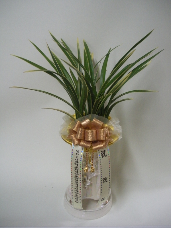 2015��1��3��(�����)