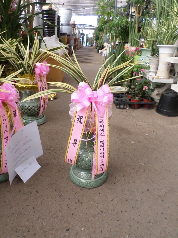 2015��1��3��(�����)