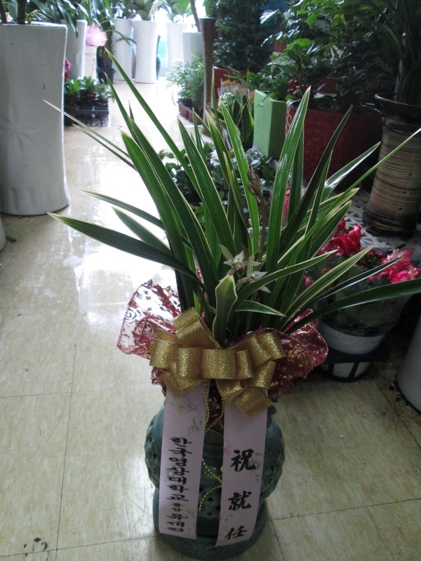 2015��1��3��(�����)