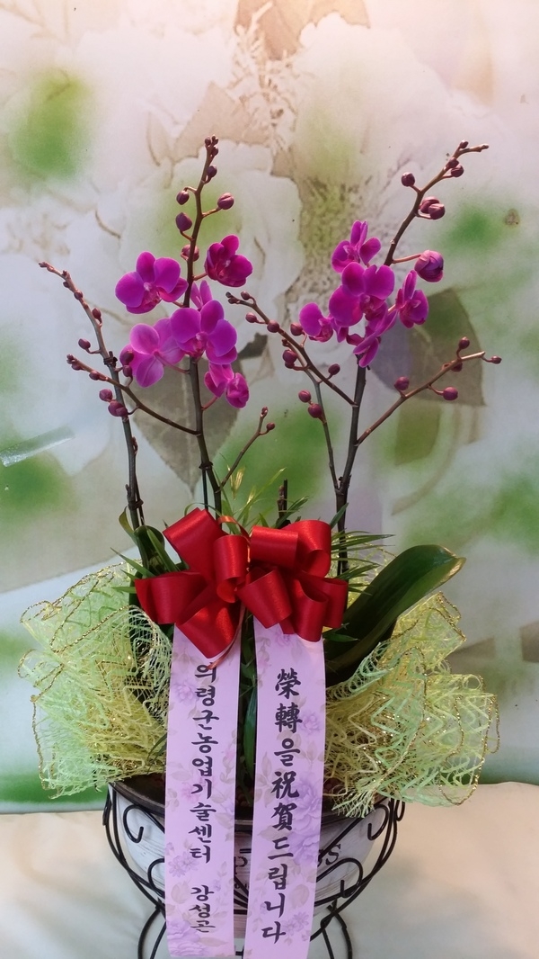 2015��1��21��(������)