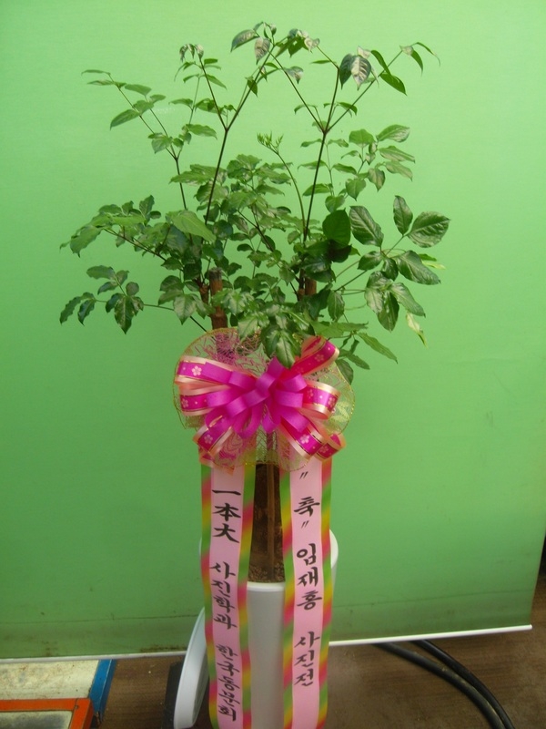 2015��1��21��(������)