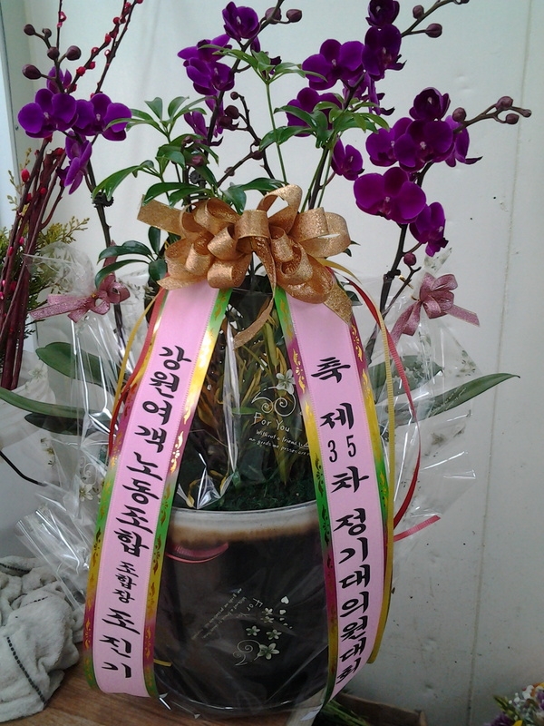 2015��1��21��(������)