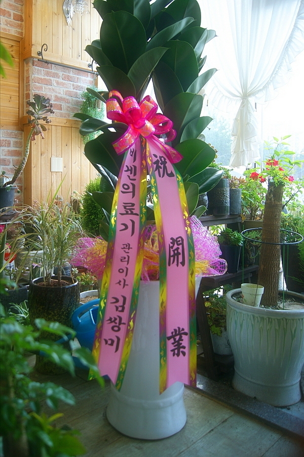 2015��1��21��(������)