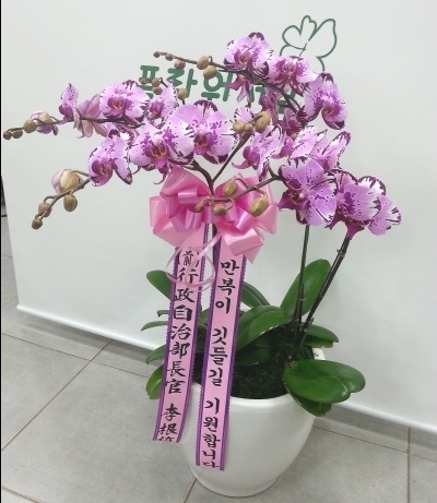 2015��1��21��(������)