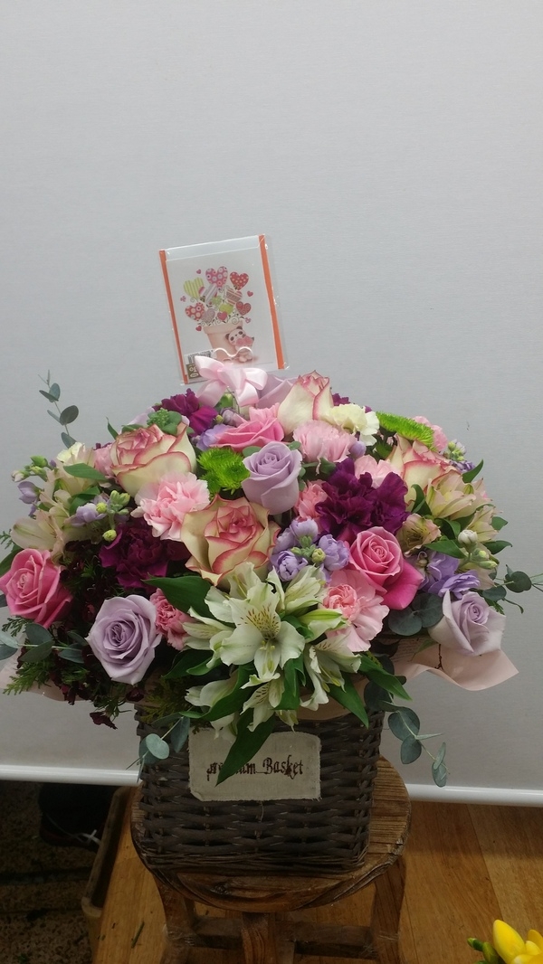 2015��1��21��(������)