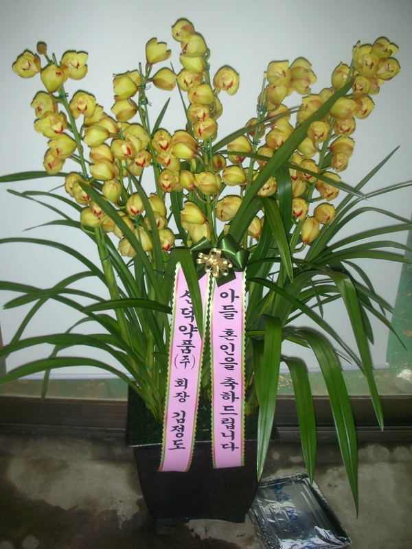 2015��1��21��(������)