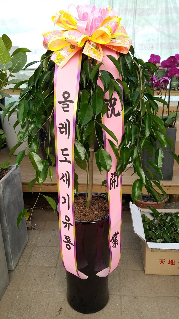 2015��1��21��(������)