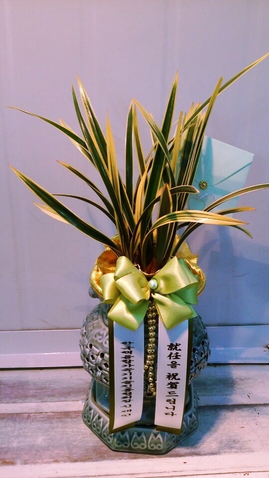 2015��1��21��(������)