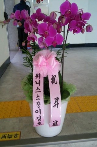 2015��1��21��(������)